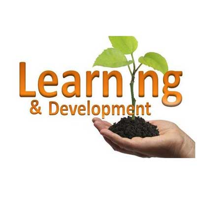 Why Is Learning and Development Important in an Organisation?