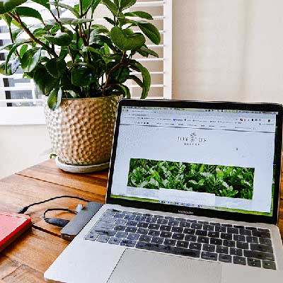 Know why it is important to have Plants in your Office/Desk? | Shrestha | The People Management